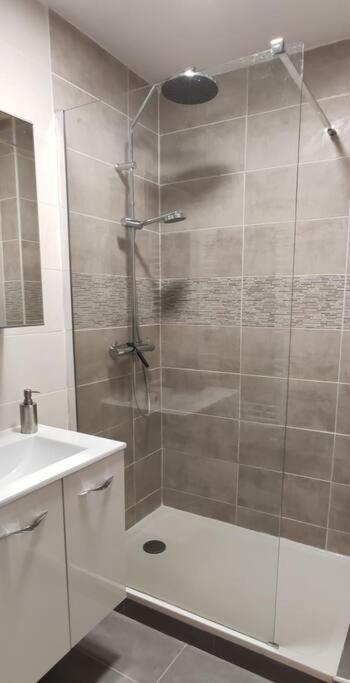 생테티엔 Logement 5 Personnes Proche Cv Et Parking Prive 아파트 외부 사진