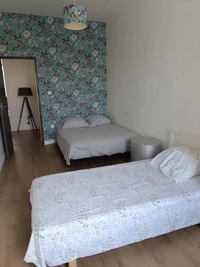 생테티엔 Logement 5 Personnes Proche Cv Et Parking Prive 아파트 외부 사진
